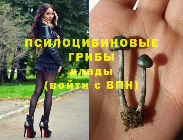 мескалин Верхний Тагил