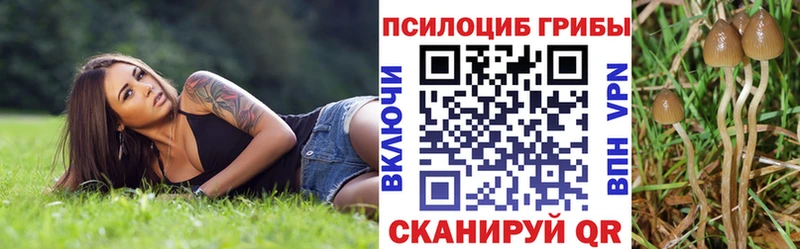 Псилоцибиновые грибы MAGIC MUSHROOMS Данилов