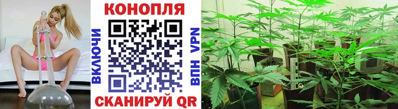 МАРИХУАНА VHQ  Данилов 